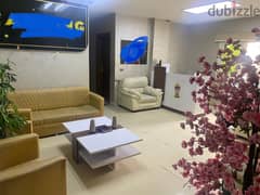 furnished apartment for rent en 9 st elmaadi   شقه للايجار فى شارع 9