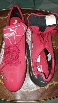 puma sport shoes