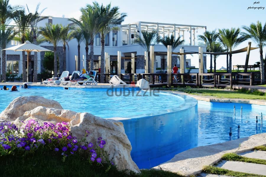 شاليه مفروش للبيع في أمواج chalet direct on pool for sale in amwaj 10