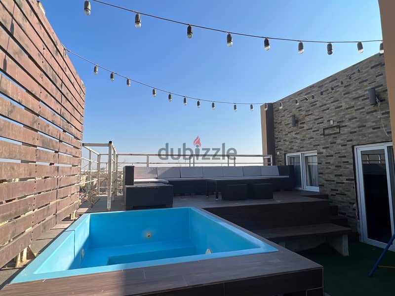 2 BR Furnished apartment with plunge pool and Terrace 1