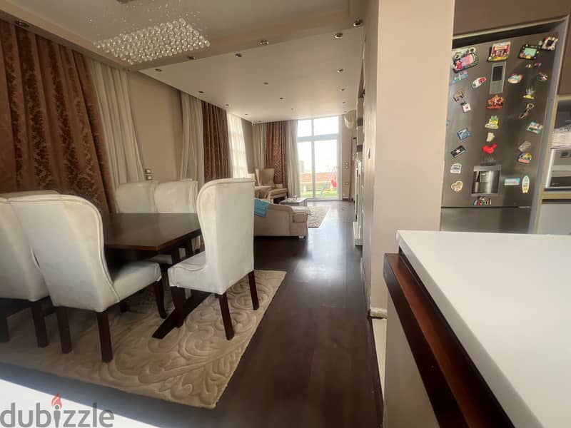 2 BR Furnished apartment with plunge pool and Terrace 4