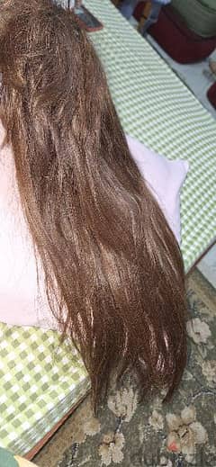 شعر