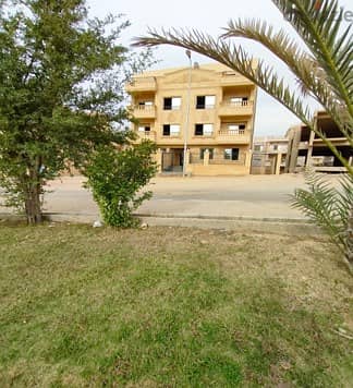 Apartment - شقة للبيع - 250م - الياسمين 1 - لوكيشن مميز - El Yasmeen 1 1