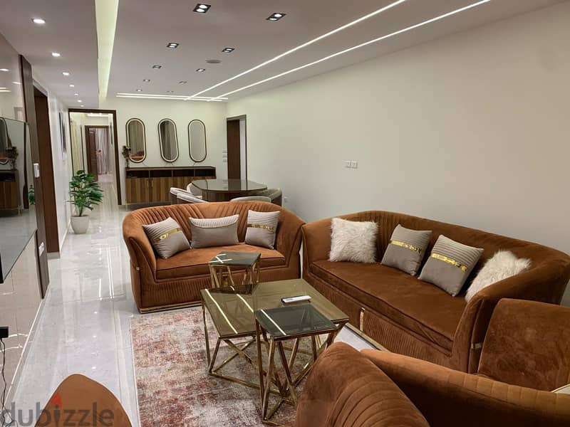 Ultra super luxury furnished apartment for rent 3