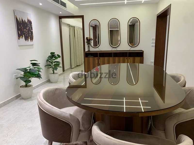 Ultra super luxury furnished apartment for rent 11