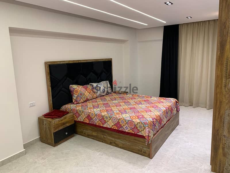 Ultra super luxury furnished apartment for rent 15