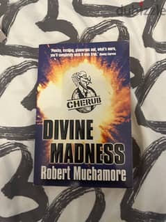 divine madness book