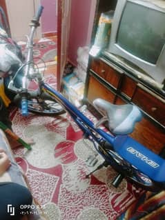 دراجة هوائية نيجر للبيع