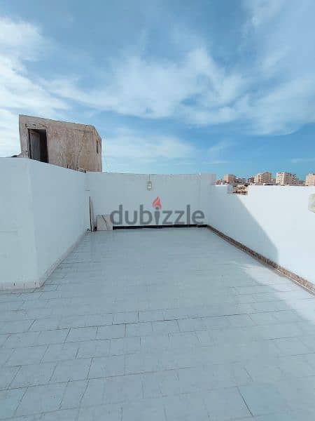 امتلك شقة دوبلكس في الإسكندرية شاطئ النخيل موقع سكني ممتاذ جدا 10