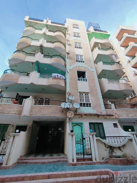 امتلك شقة دوبلكس في الإسكندرية شاطئ النخيل موقع سكني ممتاذ جدا 15