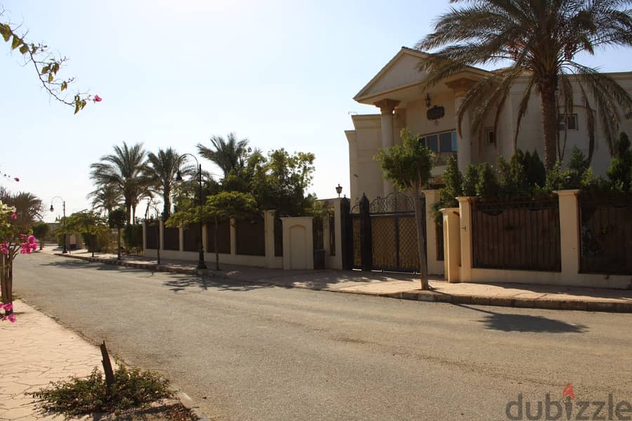 قطعة ارض للبيع في مدينة الشيخ زايد الجديدة بمساحة 1000 م 18