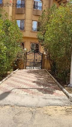 شقة للايجار سكني أو إداري ارضي مدخل ومدخل خاص الشيخ زايد