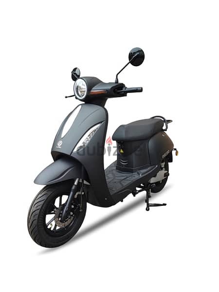 escoo scooter made in holland 6
