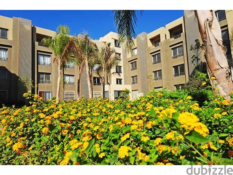 Apartment with DP in Palm parks Palm hills 5