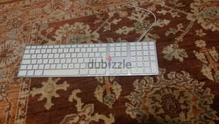 Apple keyboard A1243 Wired ابل كيبورد 0