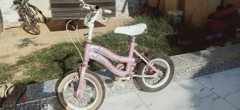 دراجه بناتى للبيع 0