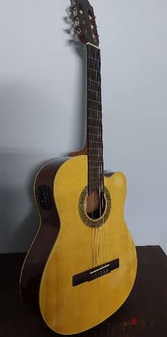 Guitar Samich C2CE Model