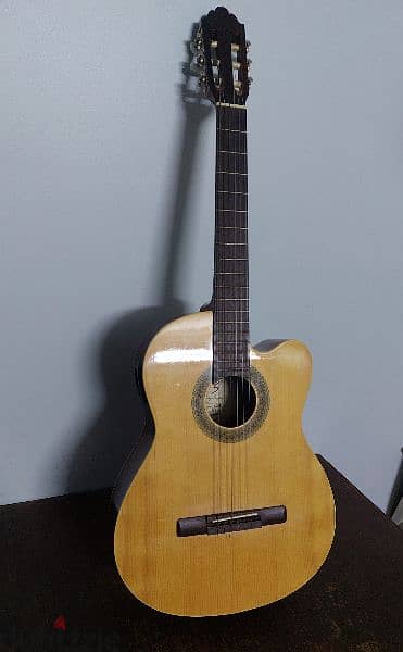 Guitar Samich C2CE Model 2