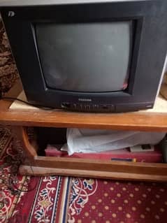 تليفزيون