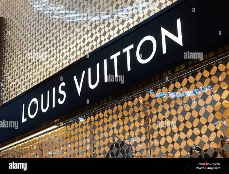 Louis Vuitton Tie ( Cravat ) 7
