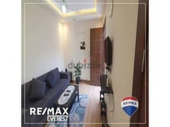 Fully Furnished Studio With Roof In Zayed Regency -Park View
