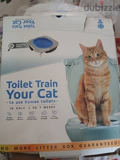 toilet train your cat