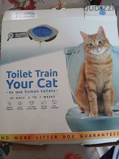 toilet train your cat 0