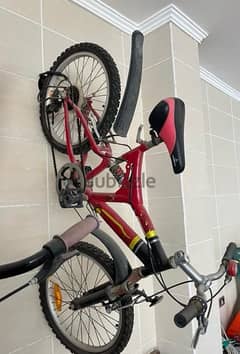 adult bicycle
