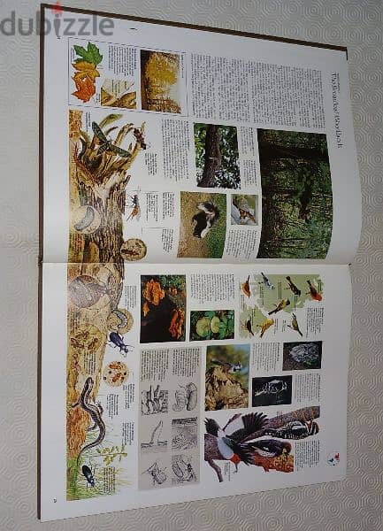 The Mitchell Beazley 1973 Atlas of the World Wildlife 7
