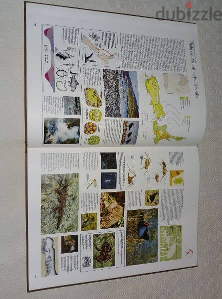 The Mitchell Beazley 1973 Atlas of the World Wildlife 10