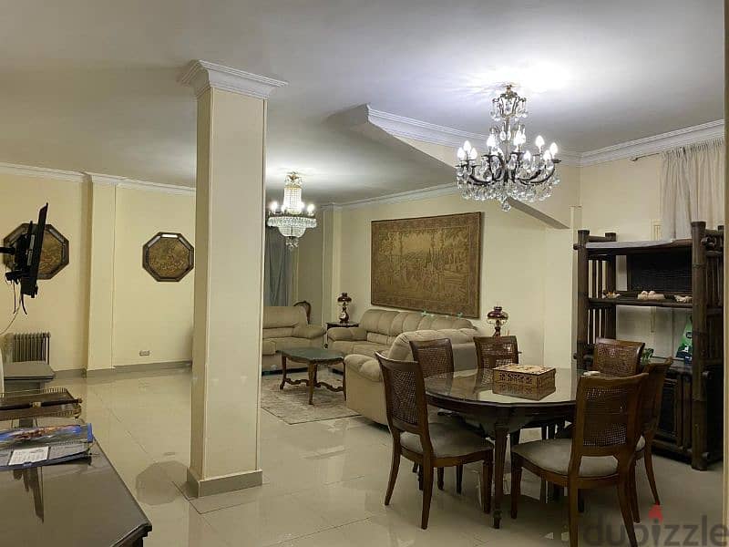 Apartment for rent in Zamalek 15