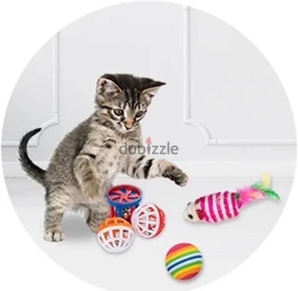 10 Pc Kitten Toys Variety Pack-Pet Cat Toy Combination 1