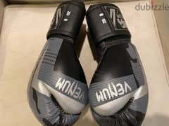 kickboxing gloves for training