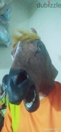 قناع رأس الحصان جلد جديد وارد من الخارج 600جنيه