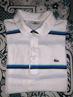 lacoste size small