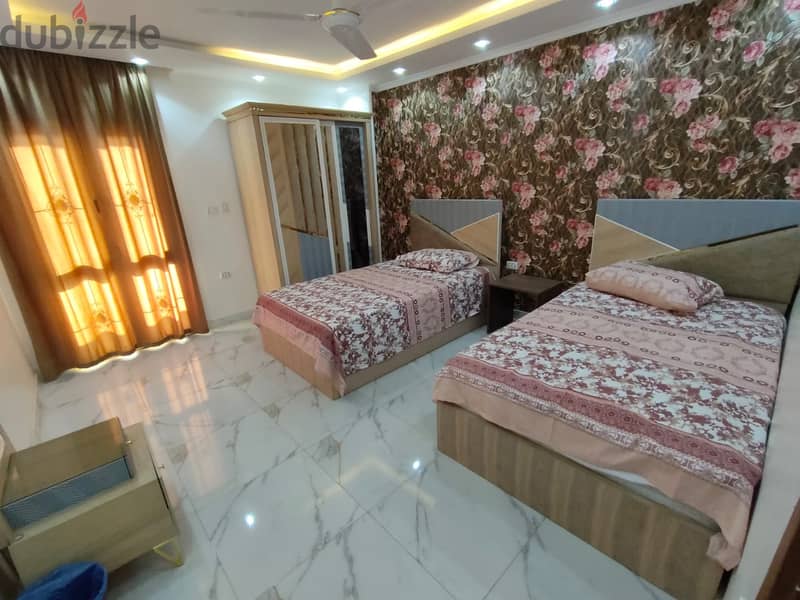 Furnished apartment for rent in Mohi El Din Street 16