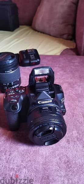 كاميرا Canon 250d +معدات الإضاءة والعدسات