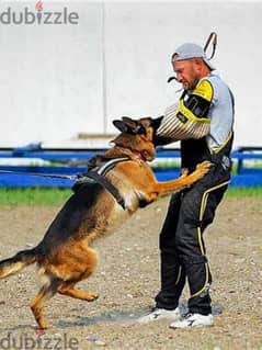 ذراع تدريب كلاب امن وحراسة