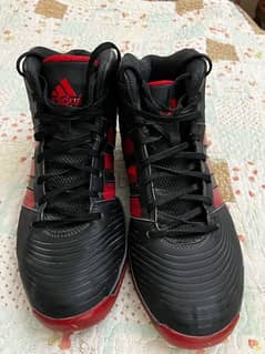 Adidas Basketball shoes