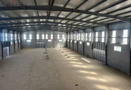 مصنع للايجار في مدينه بلبيس مساحة 2500م صافي 1500م