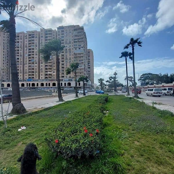 2 bedrooms apartment with 2 balconies  in front of Montazah garden 5