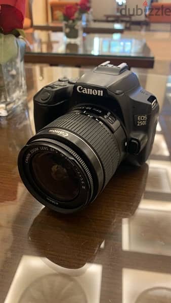 canon 250d 0