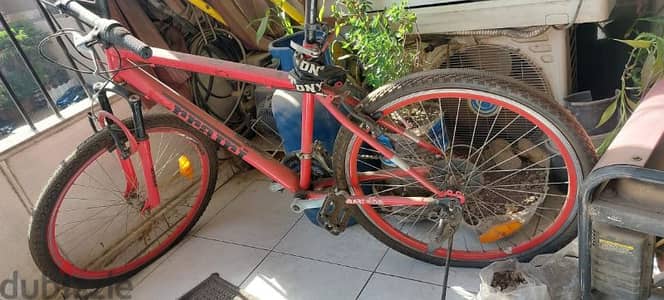 Bicycle for sale