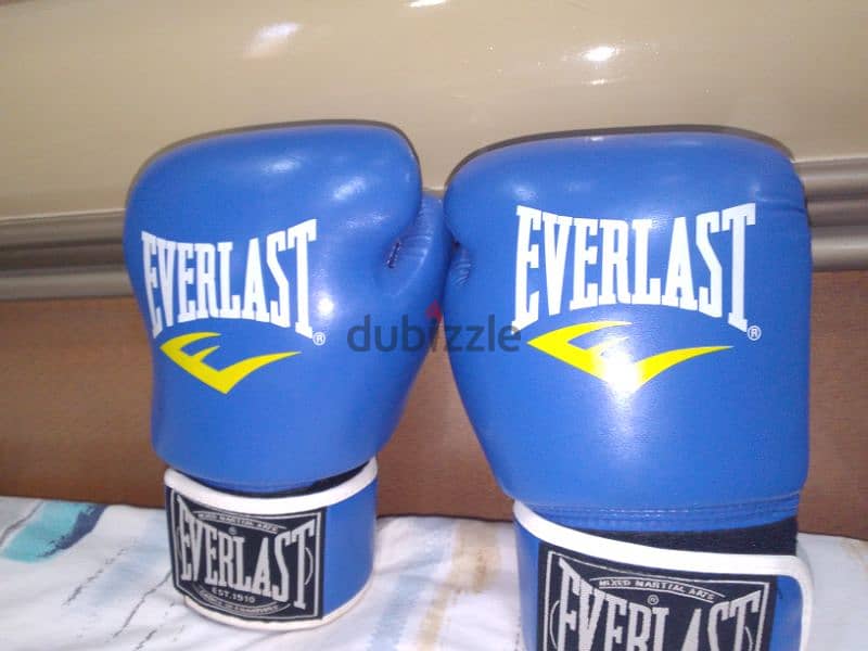 gloves Boxing 1