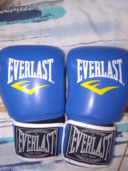 gloves Boxing 2