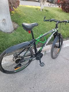 phoneix bike
