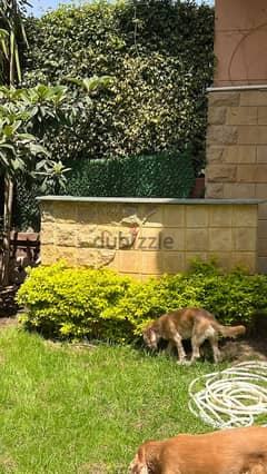 Ground floor apartment with garden in Al Rehab City, View Wide Garden, fully special finishes   Ground area 285 sqm, garden 70 sqm