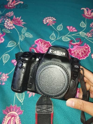 Canon 80d