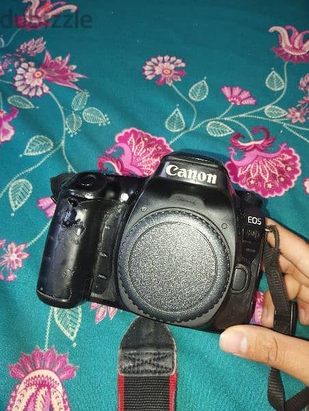 Canon 80d 0