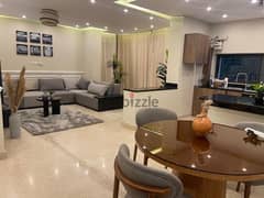 Apartment fully furnished for rent in lake view compound